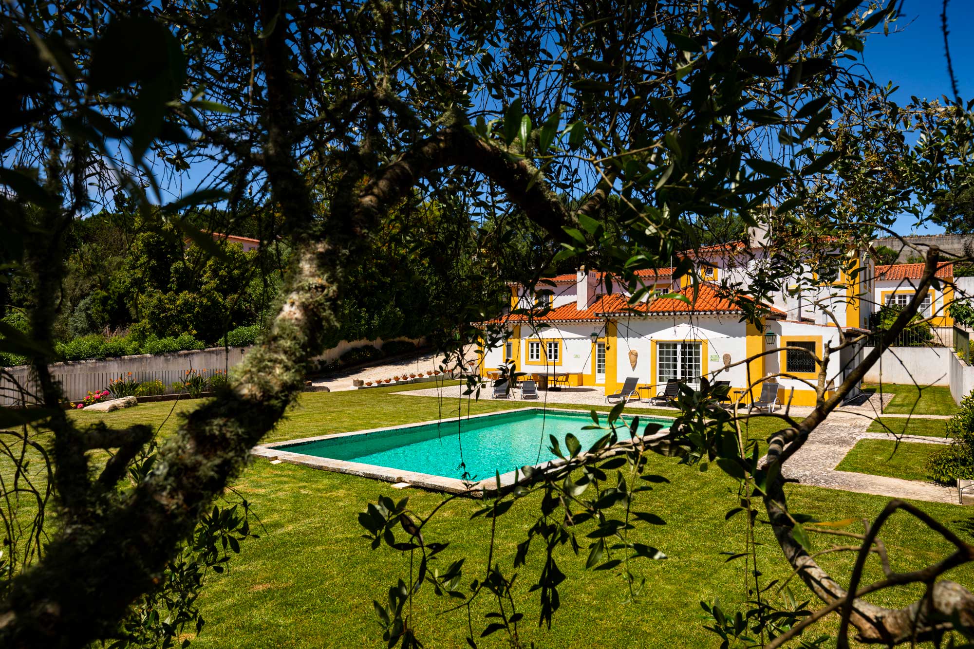 Garden and swimming pool