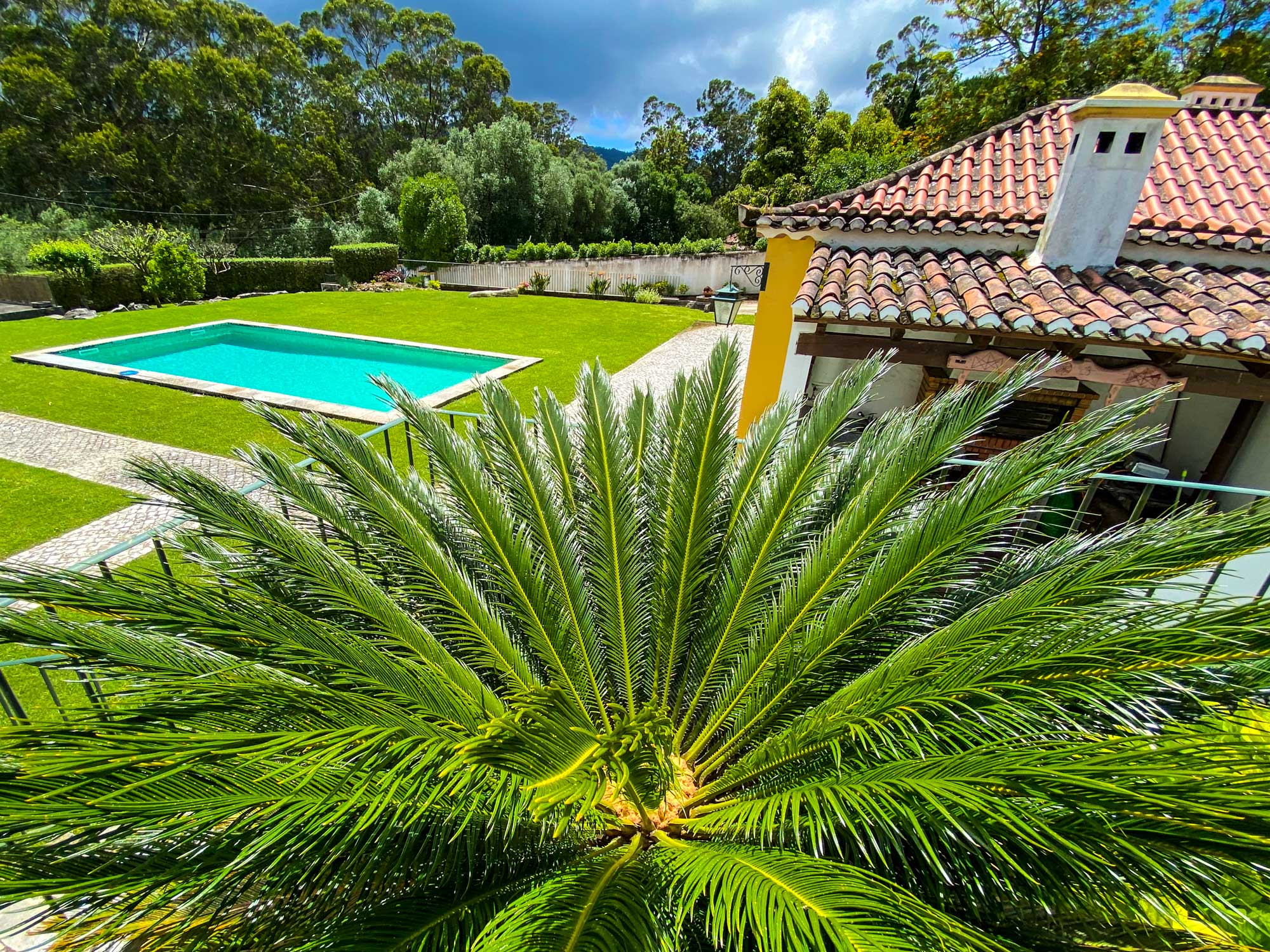 Garden and swimming pool