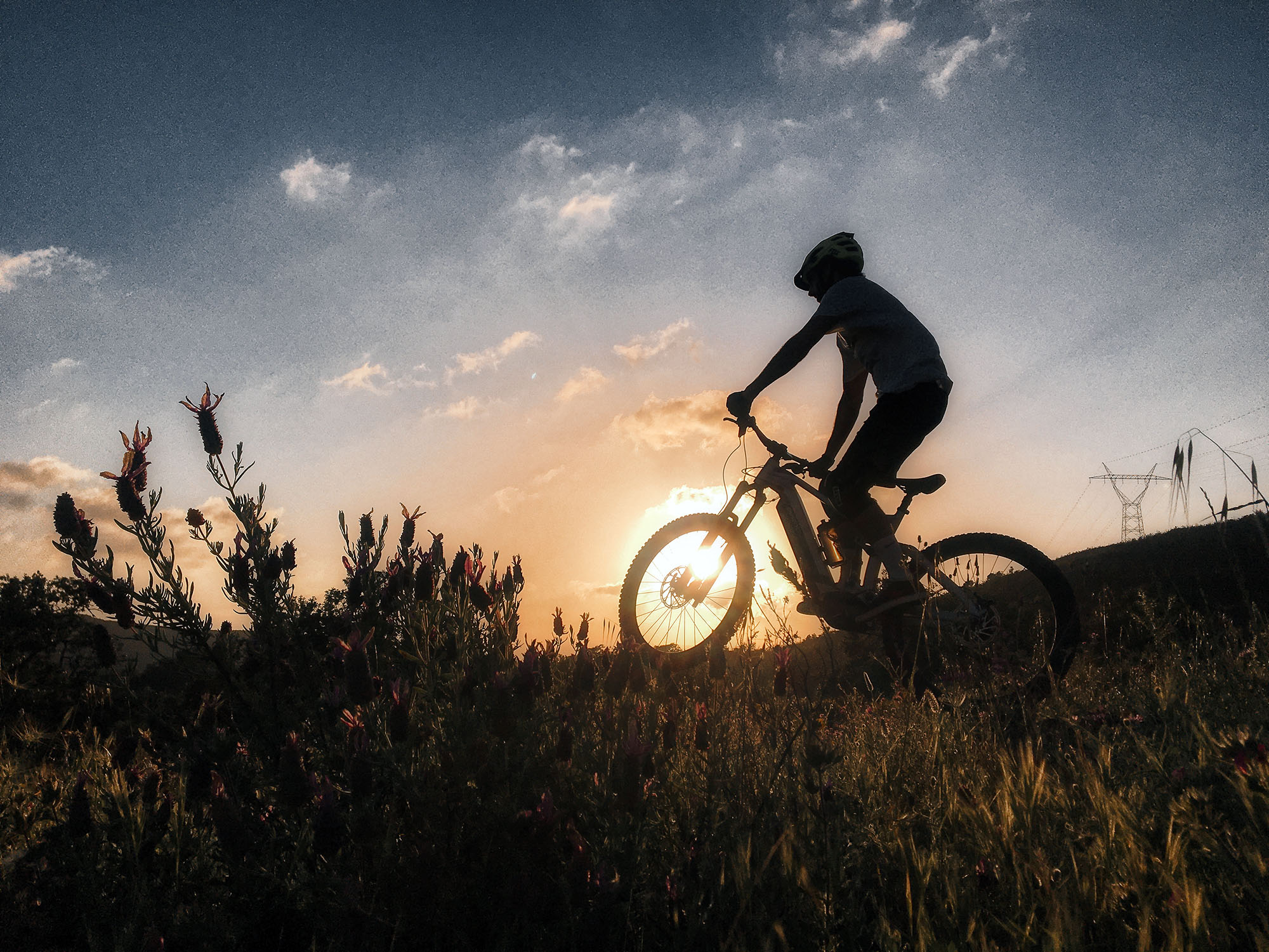 Mountain Bike