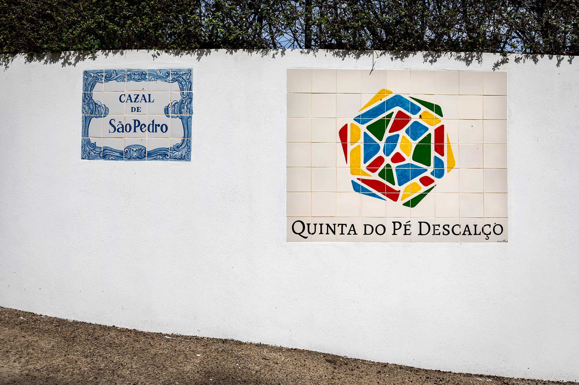 Main entrance with our logo